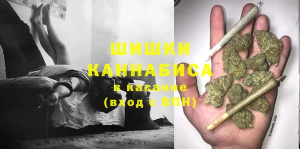 каннабис Новозыбков