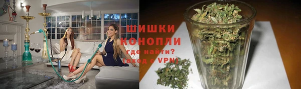 дмт Нягань