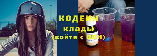 дмт Нягань