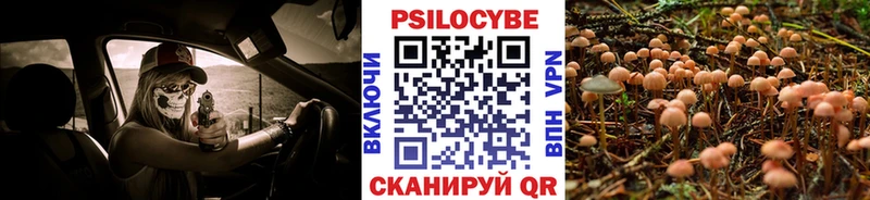 Псилоцибиновые грибы мицелий  как найти   Чита 