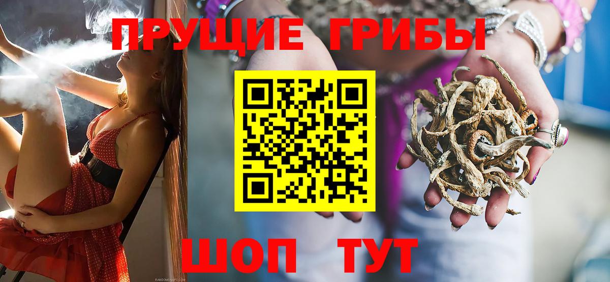 Псилоцибиновые грибы Psilocybine cubensis  Вход с VPN  Чита 